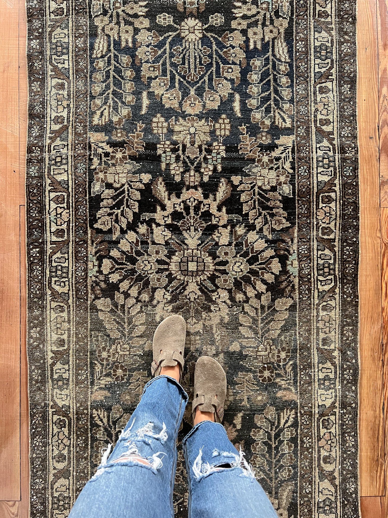 Salem 3'6 x 9'4