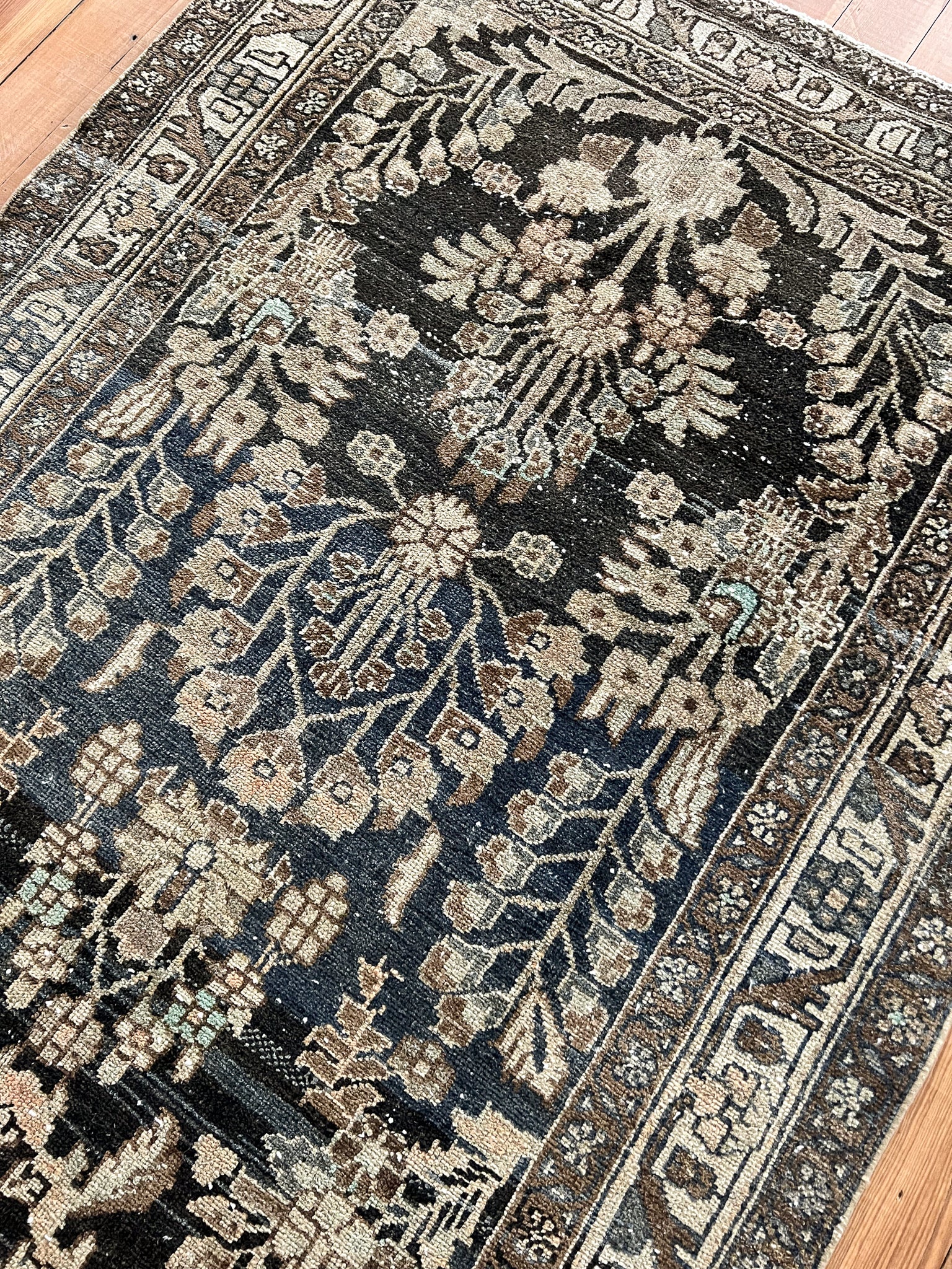 Salem 3'6 x 9'4