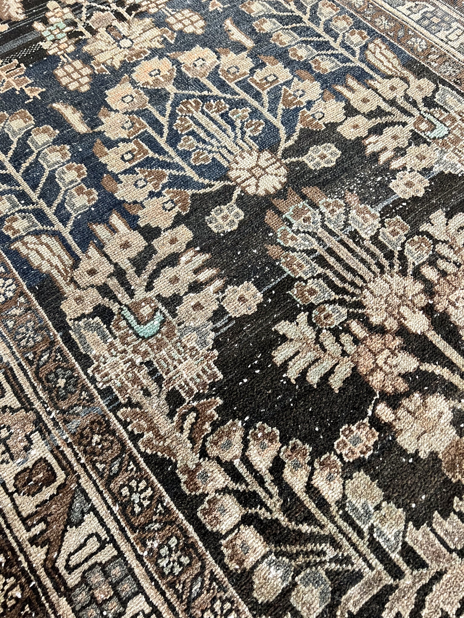 Salem 3'6 x 9'4
