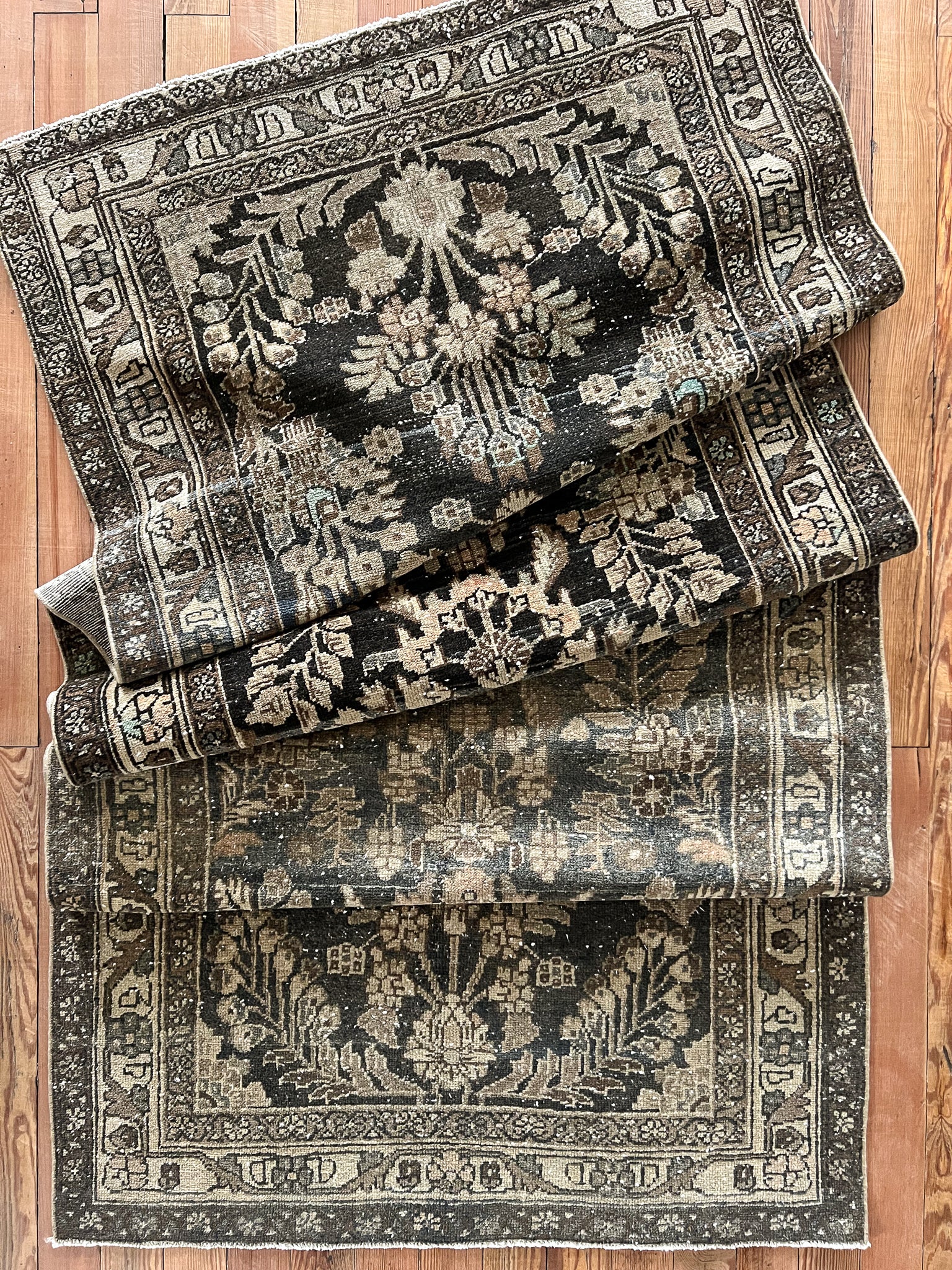Salem 3'6 x 9'4