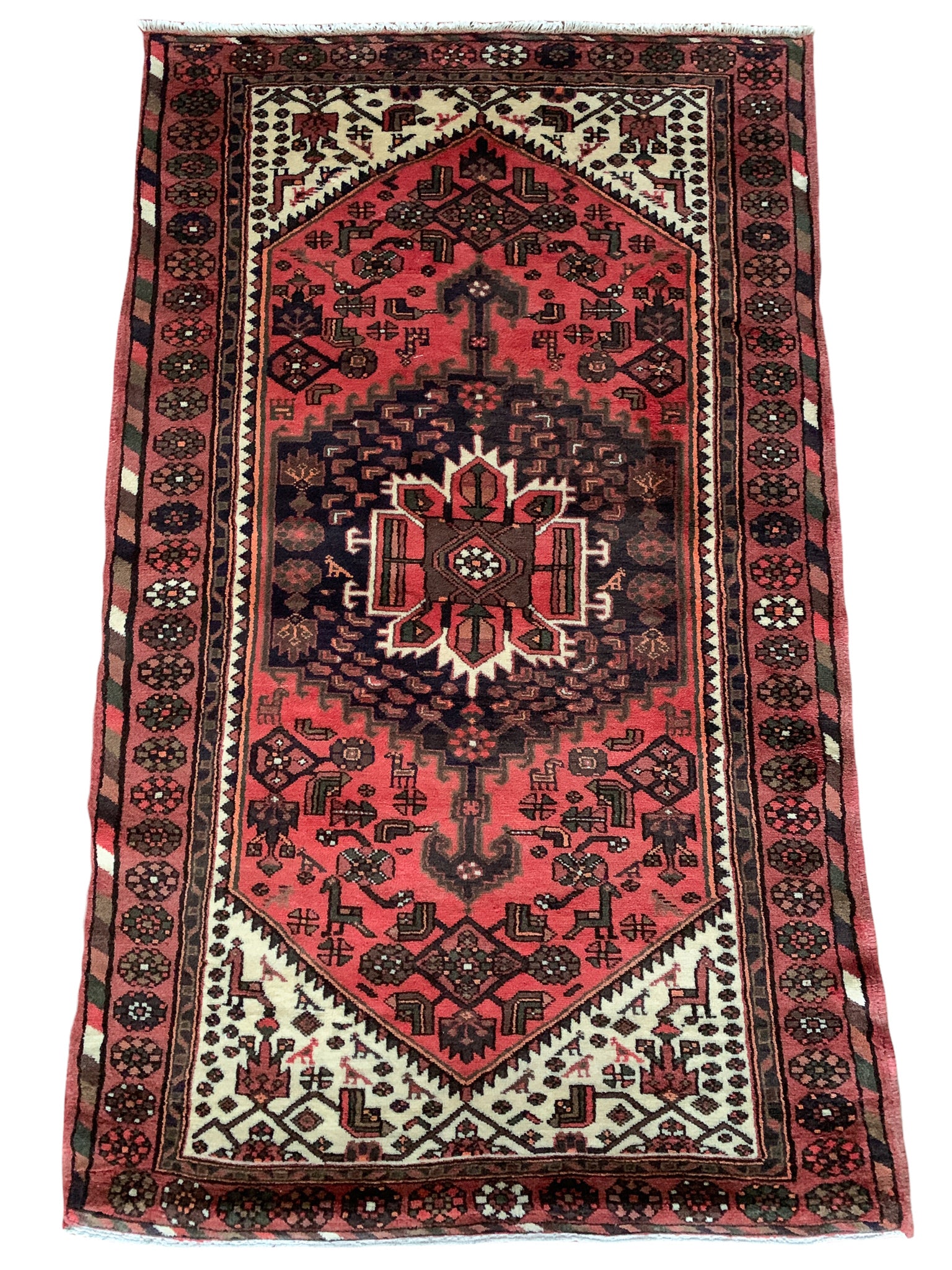 Coral 4'1 x 6'10