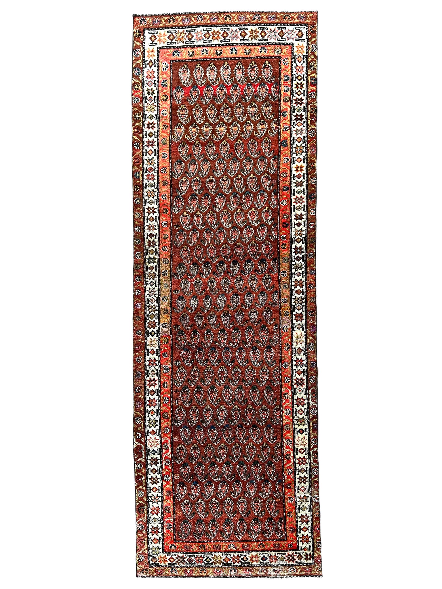 Atiya 3'1 x 9'5