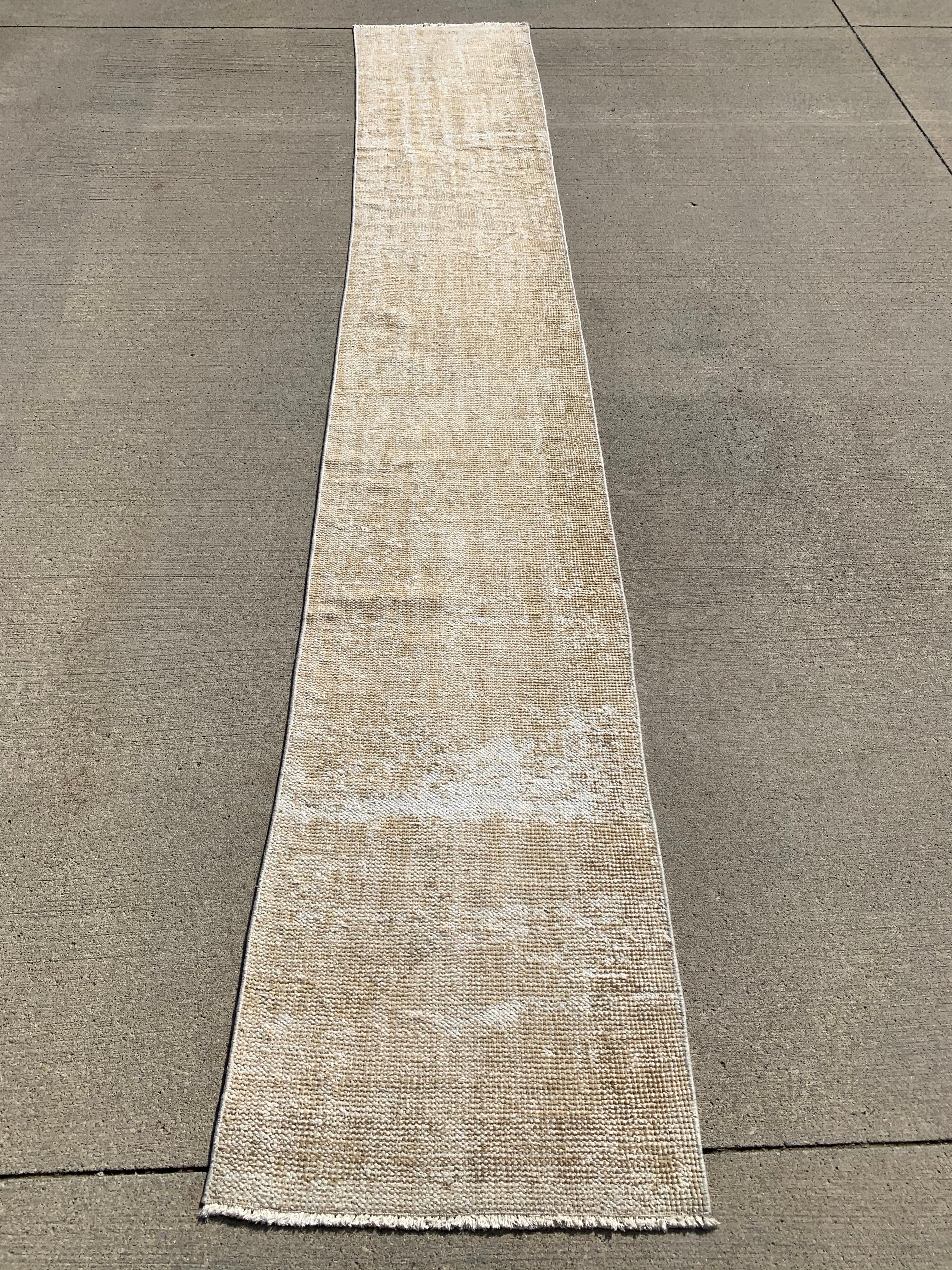Jane 2' x 12'4