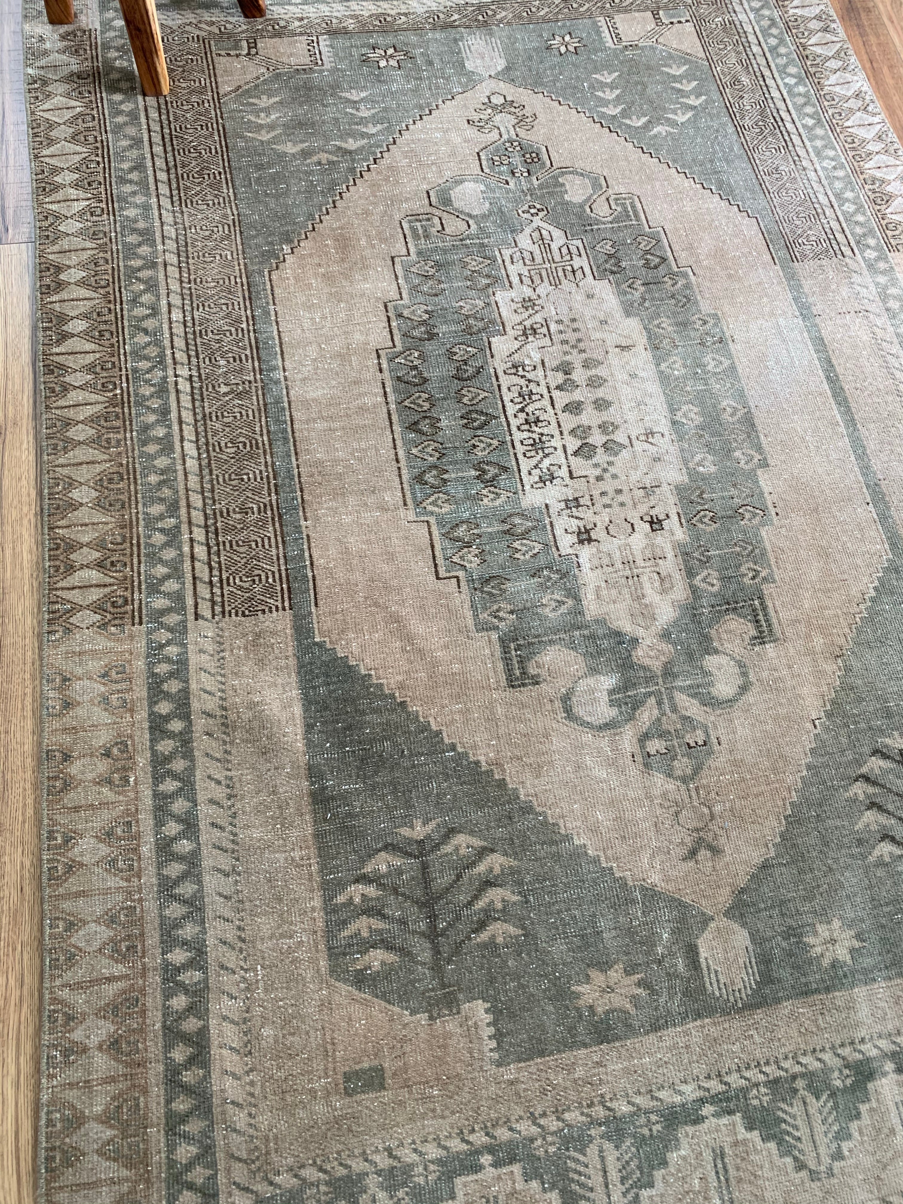 Dashiel 4'7 x 7'3
