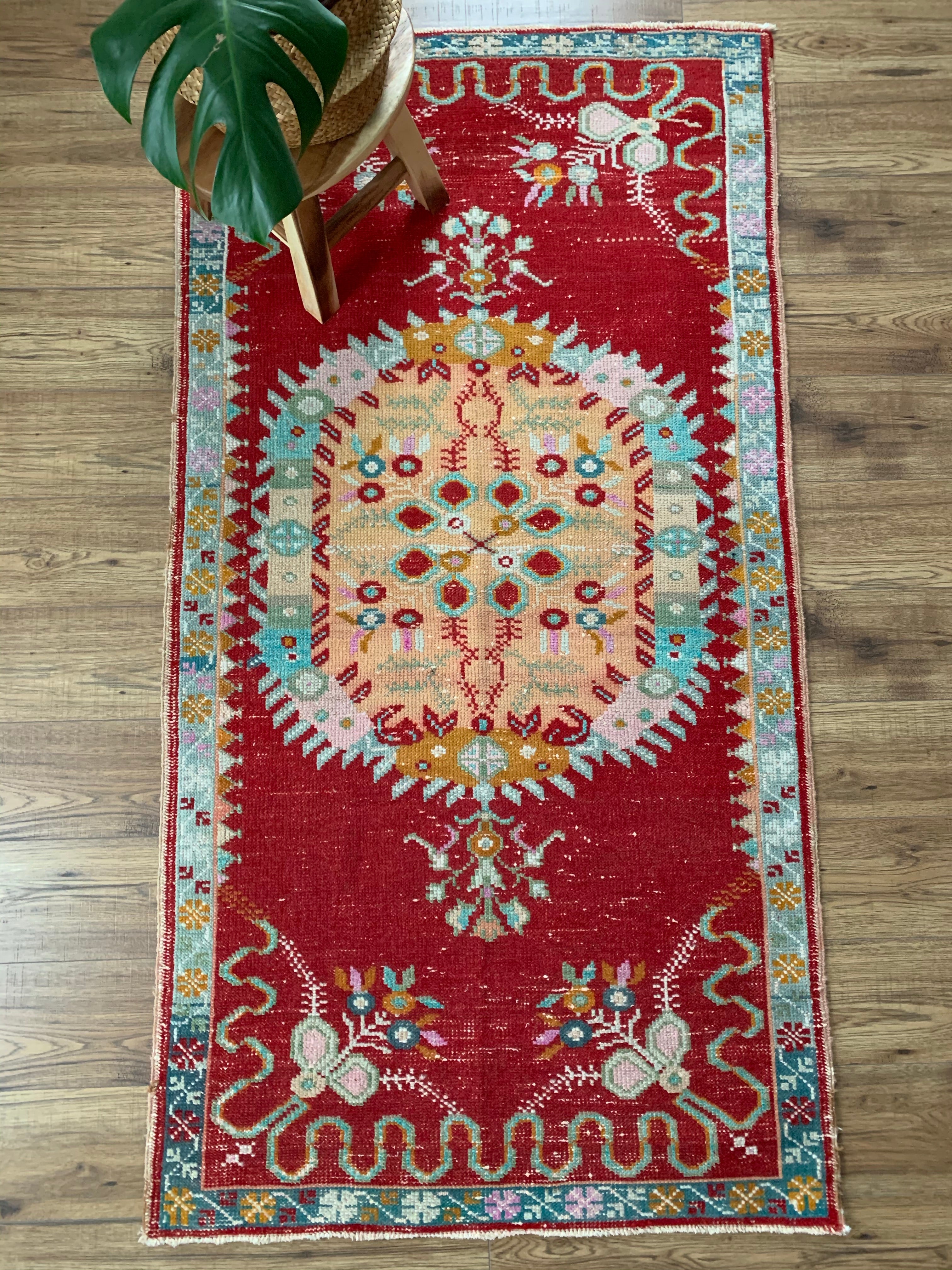 Amaryllis 3' x 5'8