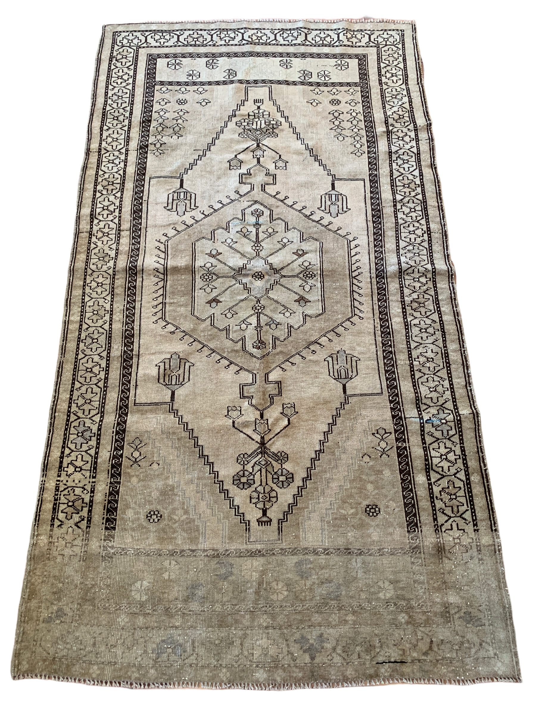 4’5 x 7’9 Turk Scratch & Dent