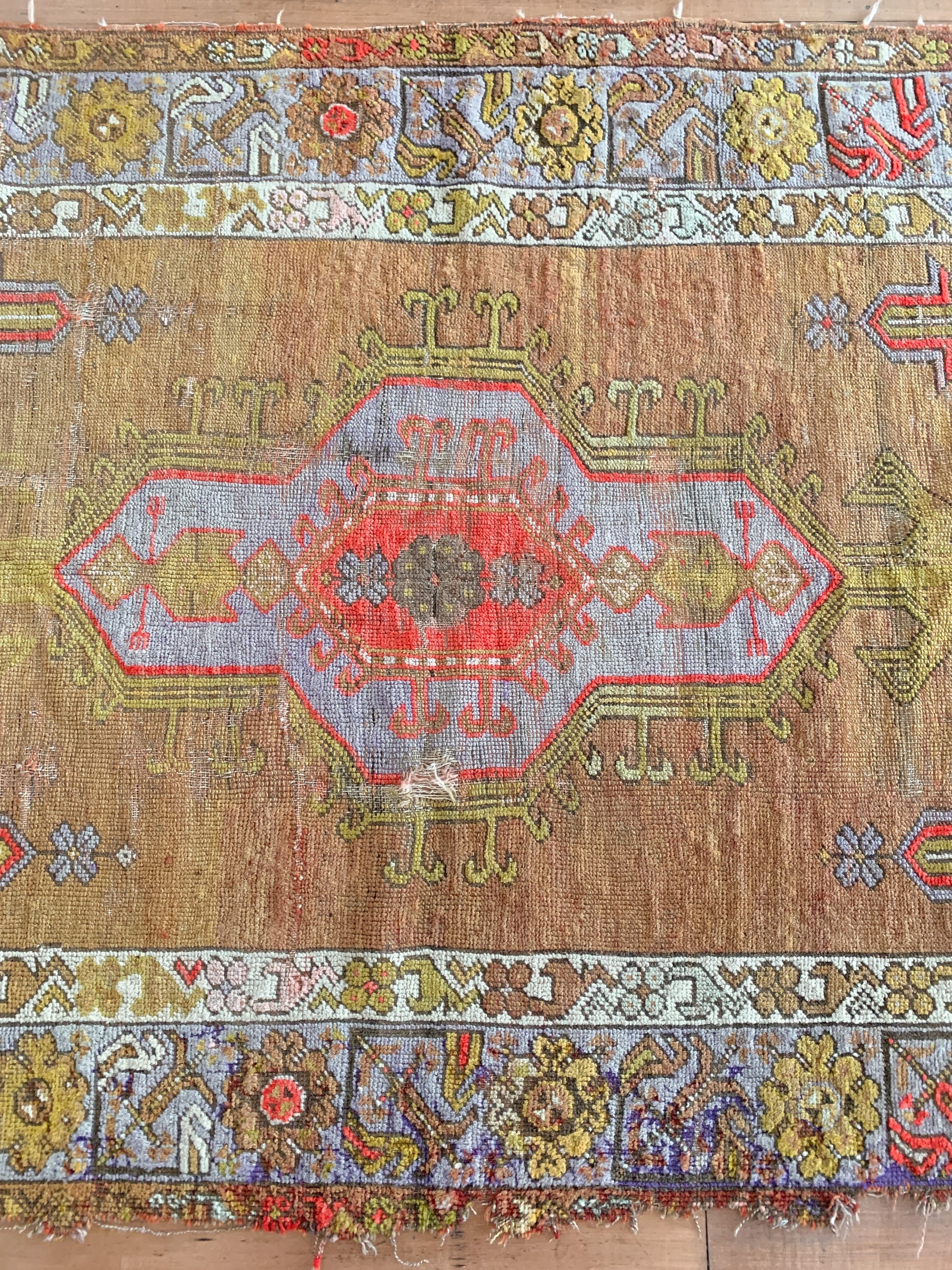Dilara 3'11 x 12'2