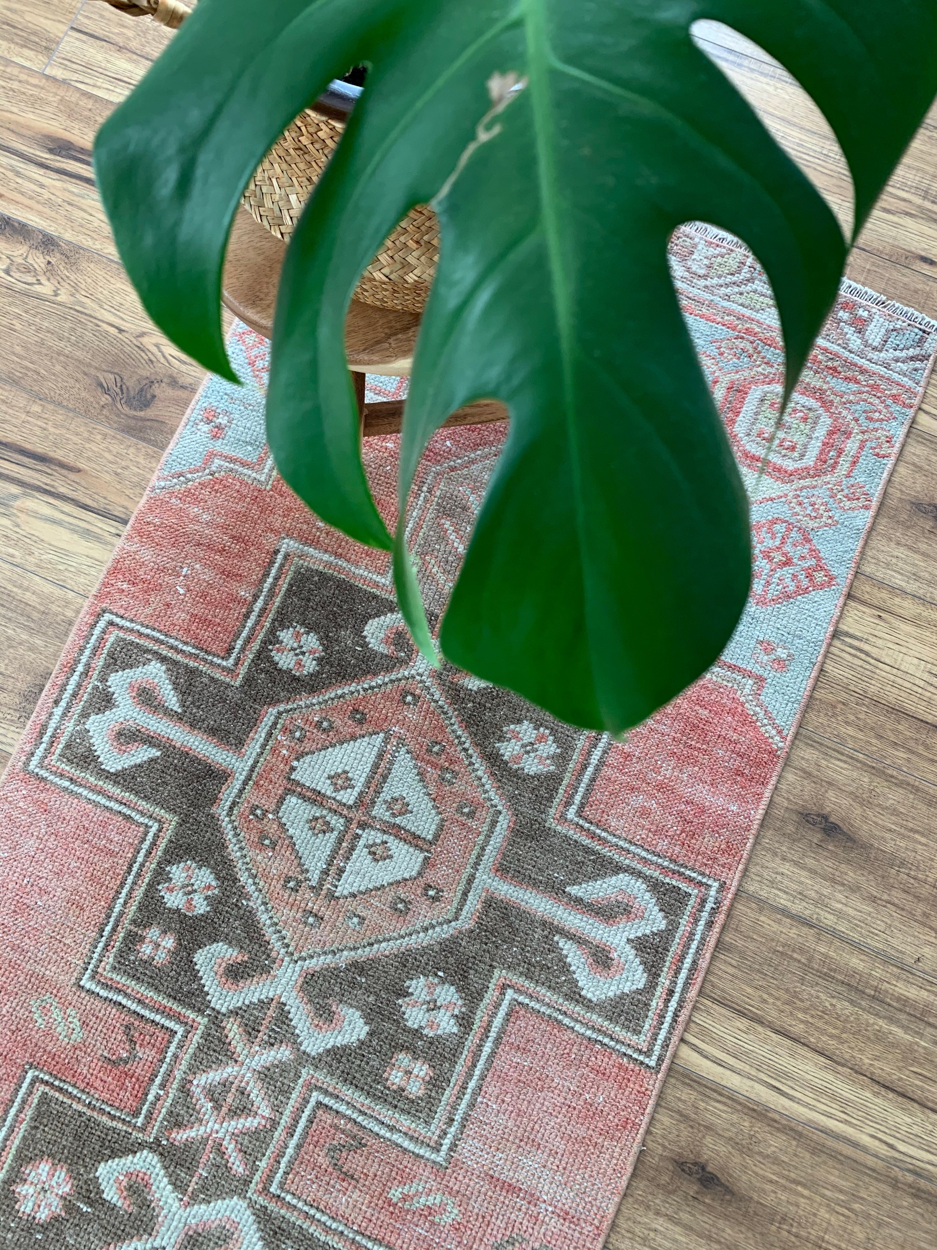 Audrey 2'2 x 6'5