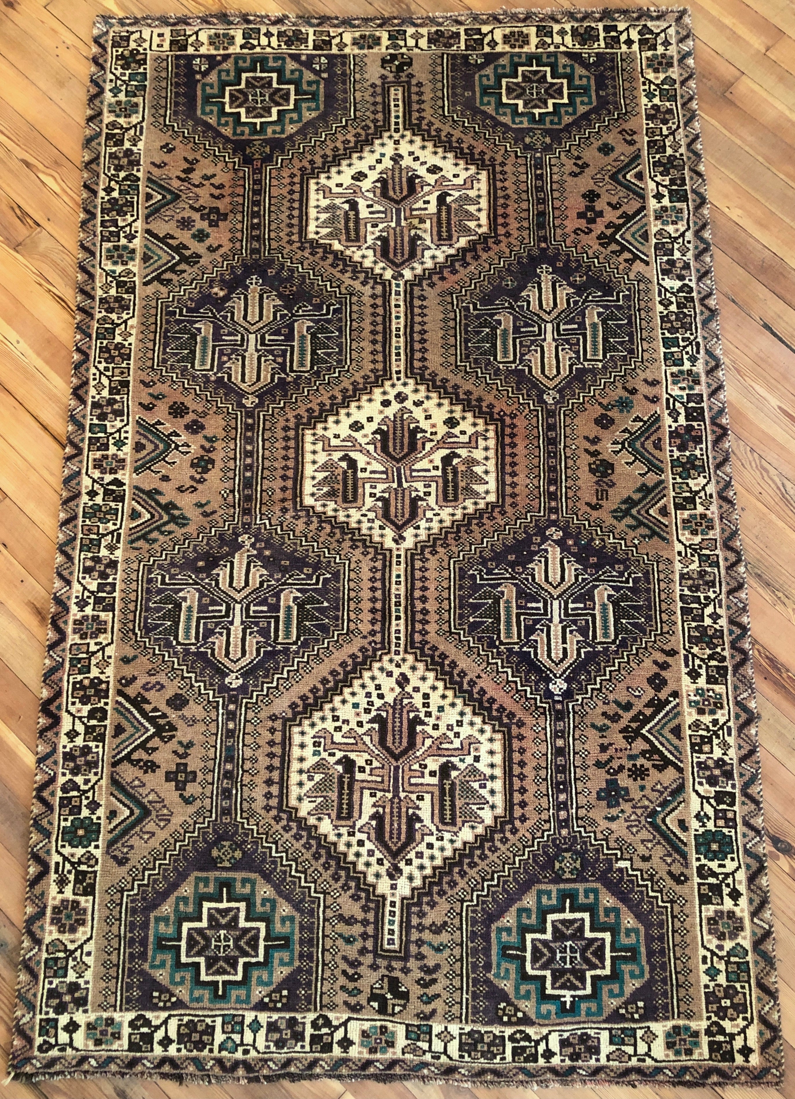 Portia 5’ x 8’1