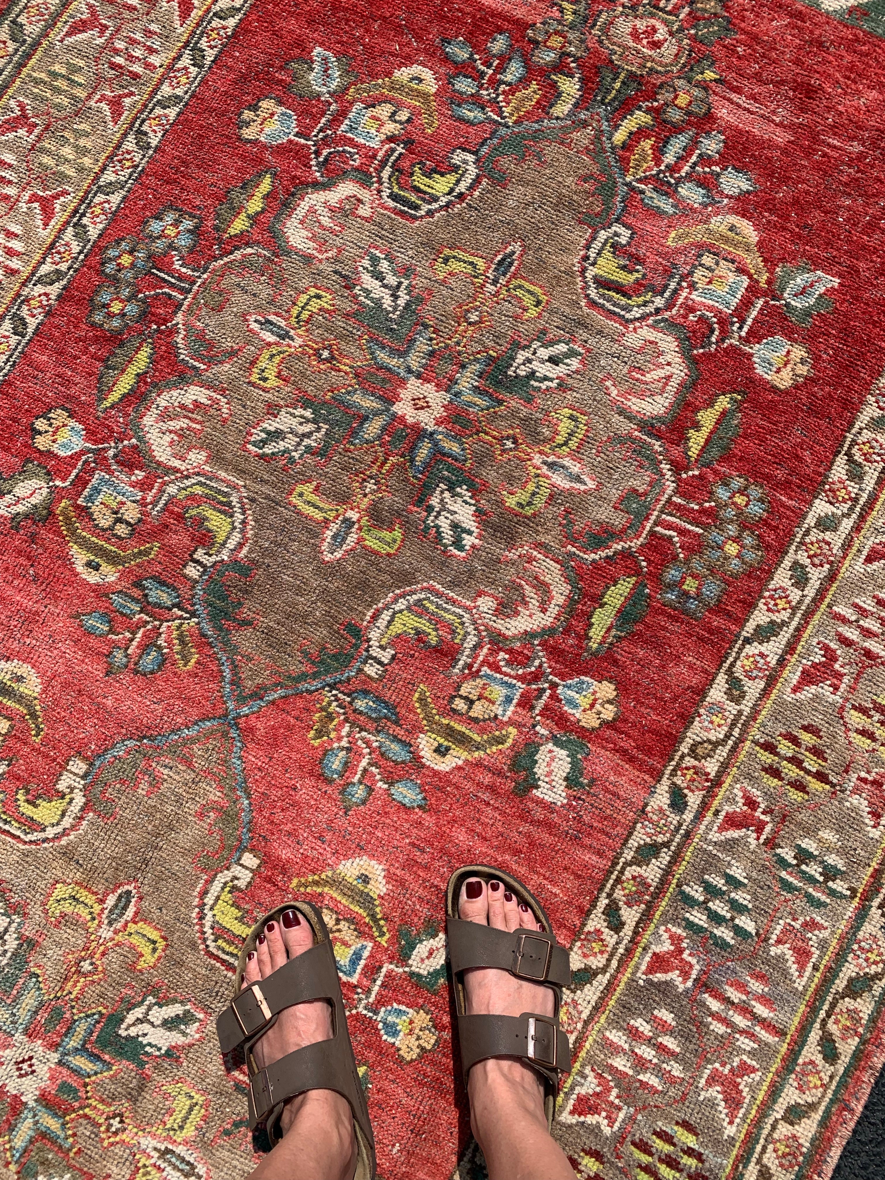 Gwendolyn 4'6.5 x 11